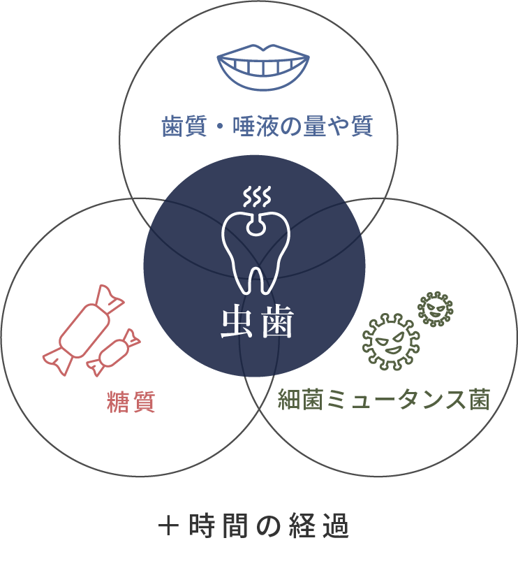 岩手県盛岡市の歯医者・インプラント歯科「高橋衛歯科医院」｜虫歯の原因の図